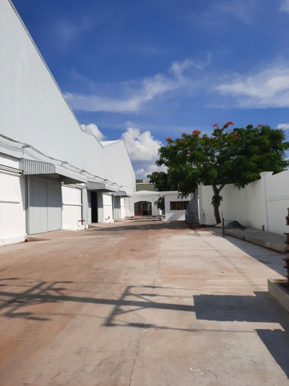Cho thuê kho xưởng đường Hương Lộ 2. Bình Tân - Diện tích: 8.000m - Ảnh 2